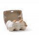 6 wooden eggs in a real egg carton
