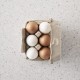 6 wooden eggs in a real egg carton