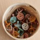 Paula Pacifier -3pack