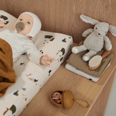 Philip Pacifier Box - Κουτί αποθήκευσης πιπίλων