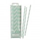 Mint Stripes Paper Straws