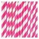 Paper Straws - Fuschia Stripes